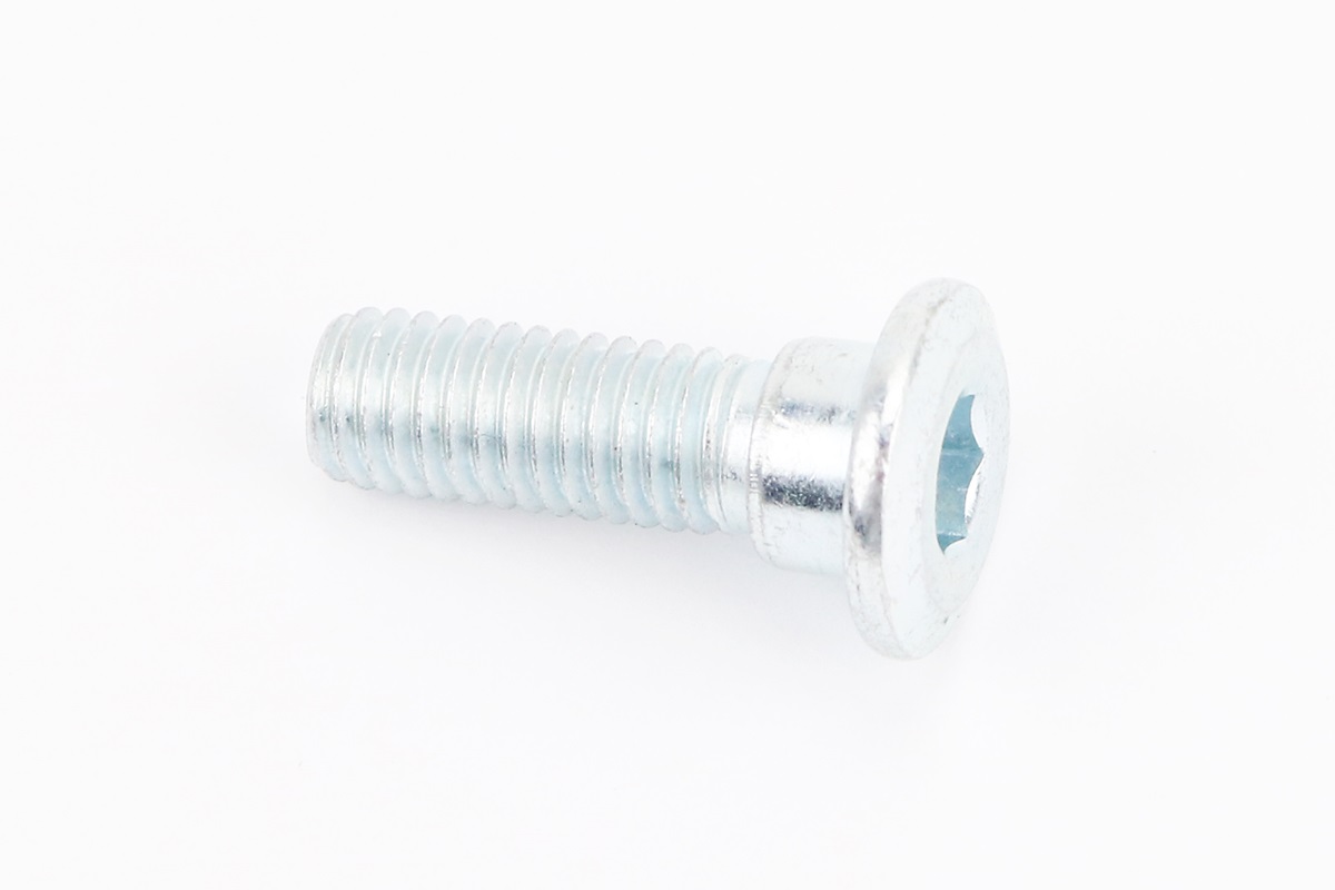 Болт тормозного диска M8x25mm (под шестигранник) KS