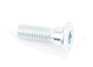 Болт тормозного диска M8x25mm (под шестигранник) OEM