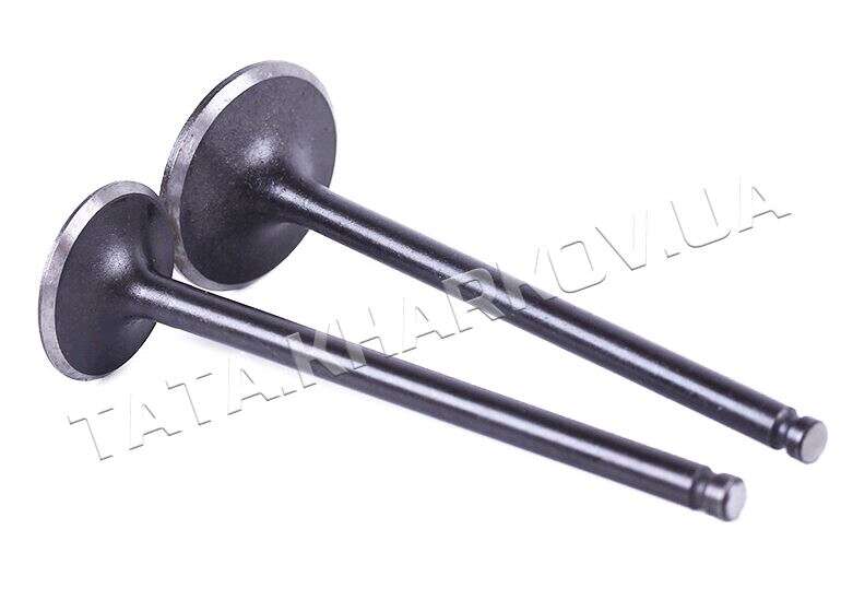 Клапаны (пара, голые) 4T CB125/150 ZV