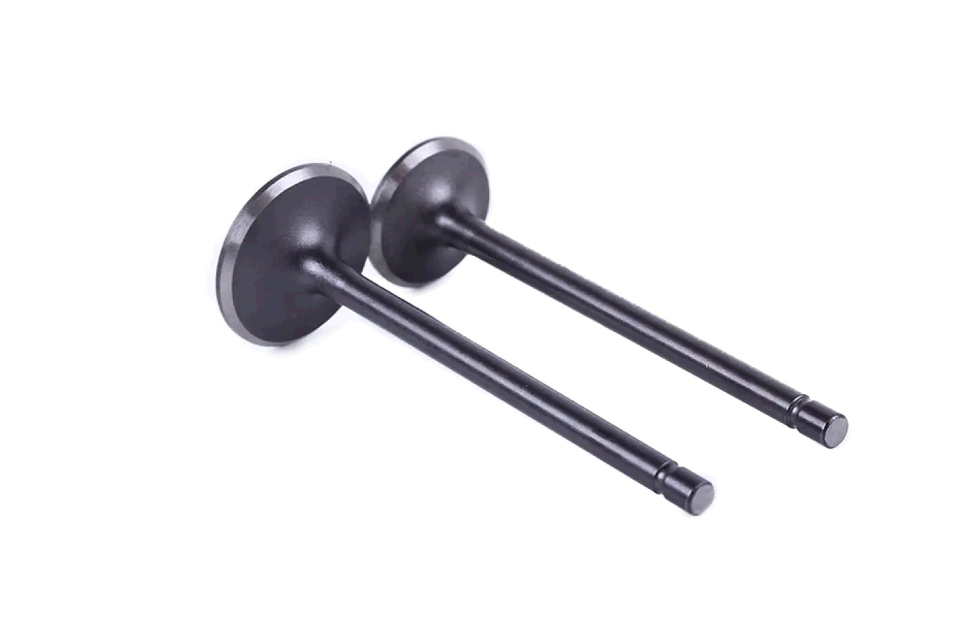 Клапаны (пара, голые) 4T CG150 (L-66mm) CNK