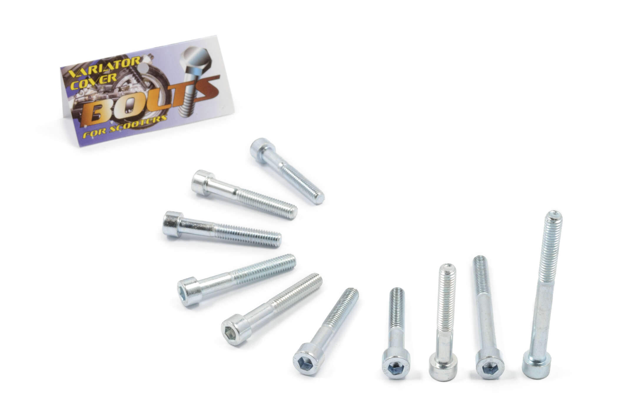 Болты крышки вариатора 4T GY6 150 (шестигранный шлиц, 10шт) AS