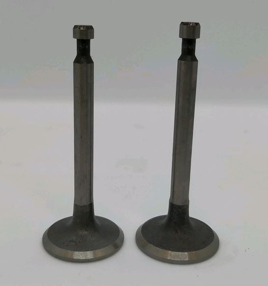 Клапаны (пара, голые) м/б 168F/170F (6,5/7Hp) TD