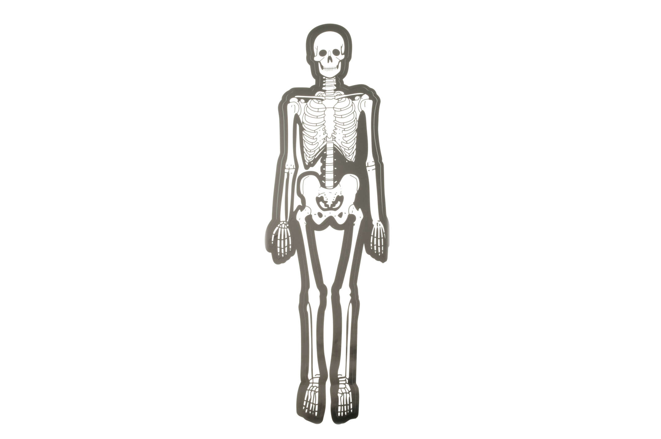 Наклейка декор SKELETON (29х10см) (#0072B)