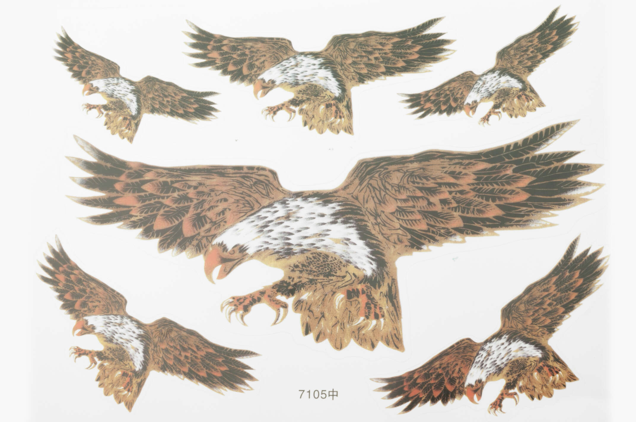 Наклейки (набор) EAGLE (31х23см) (#7105)