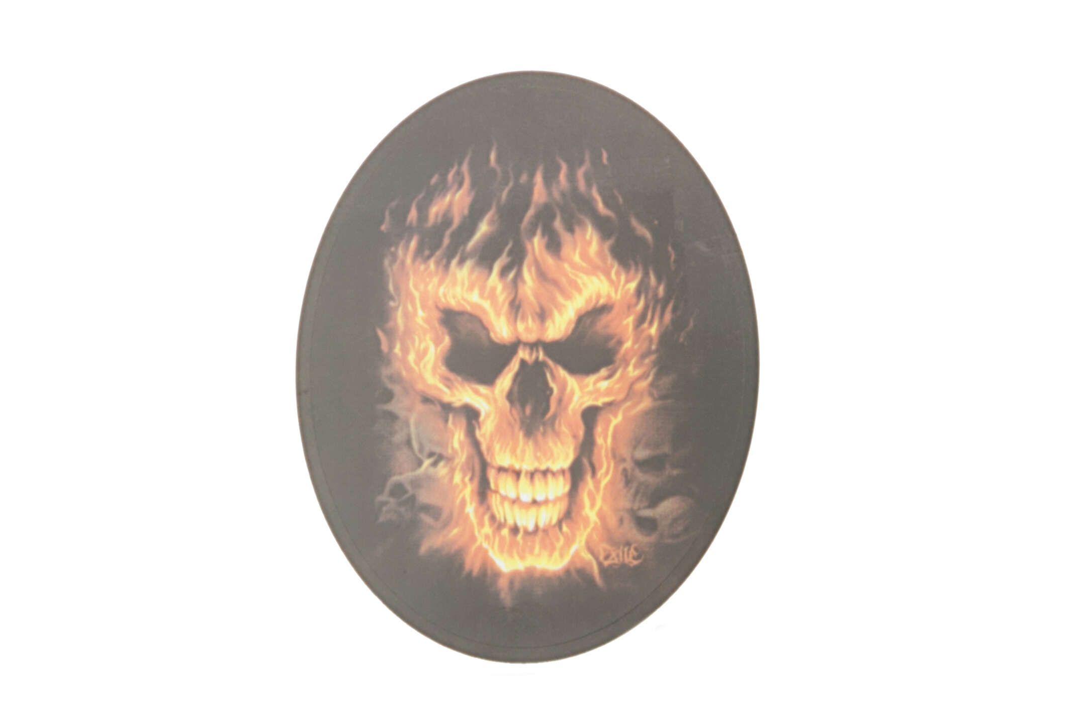 Наклейка декор SKULL (10х8см) (#3402)