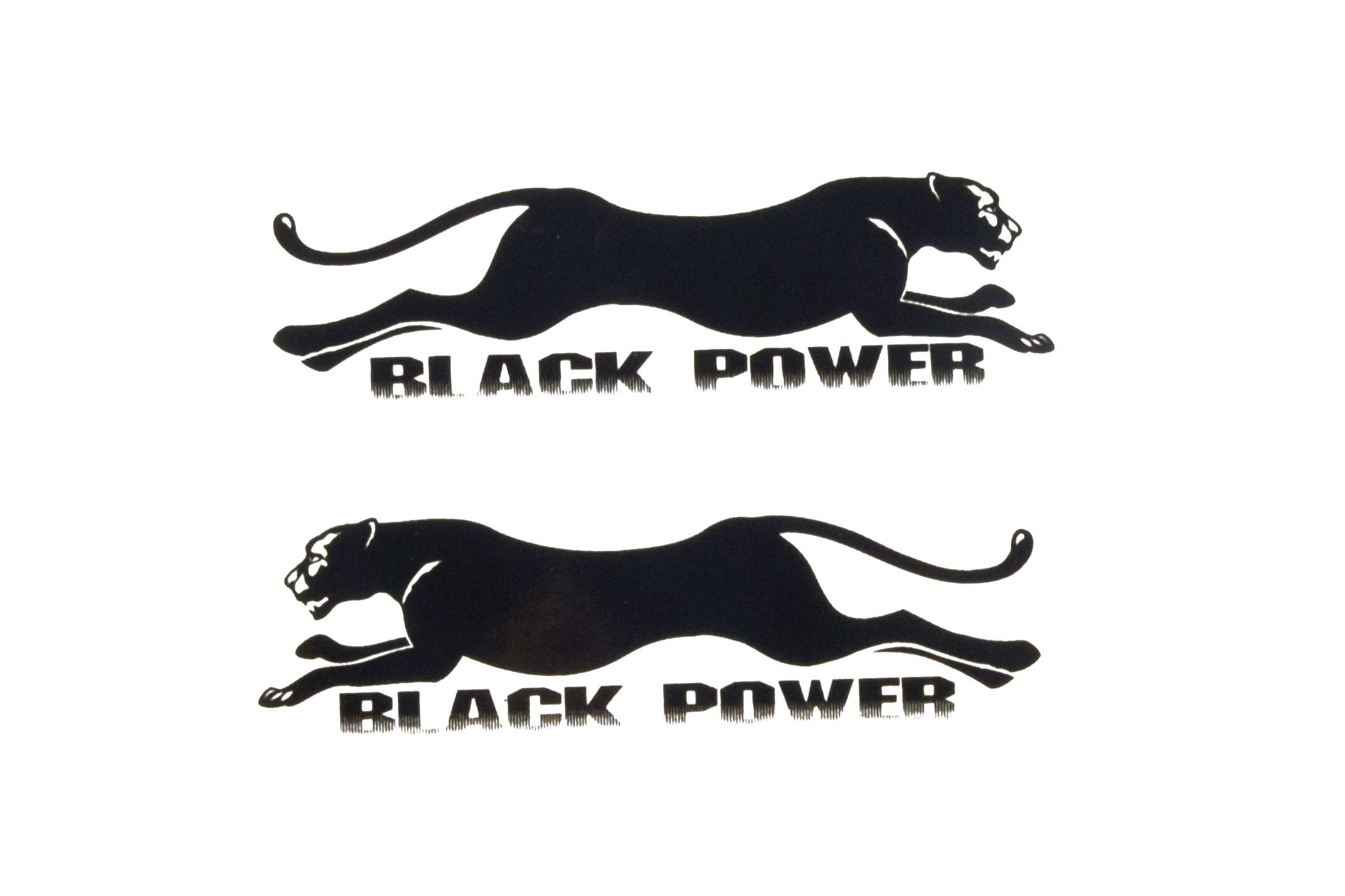 Наклейки (набор) PANTHER (14х4,5см) (#SEA)