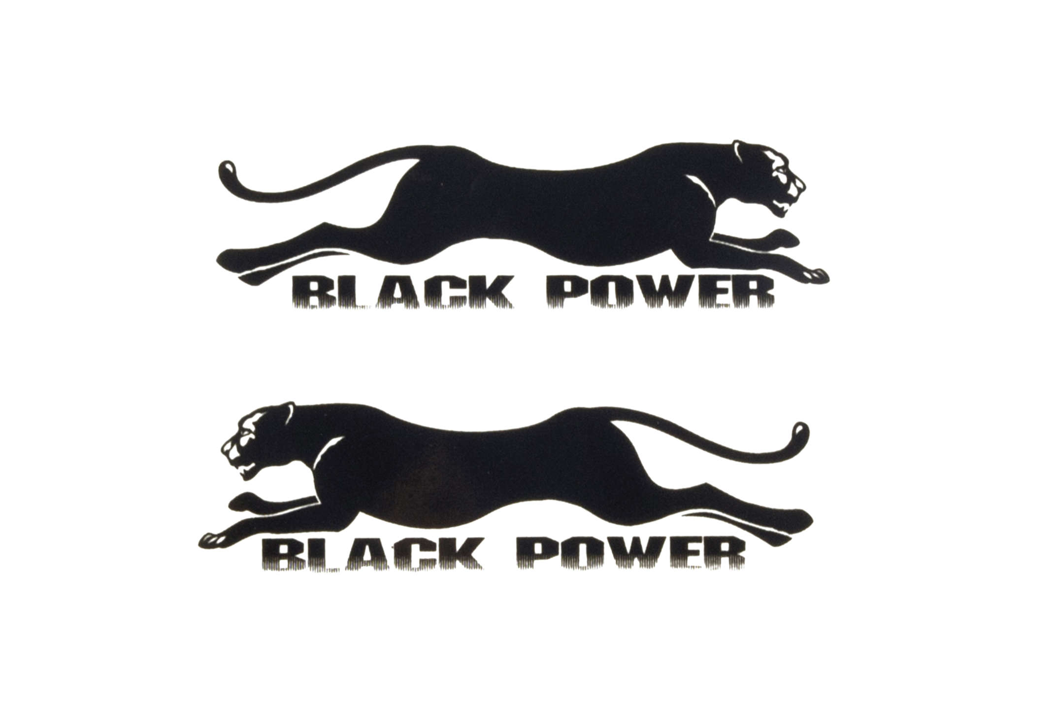 Наклейки (набор) PANTHER (25х8см) (#SEA)
