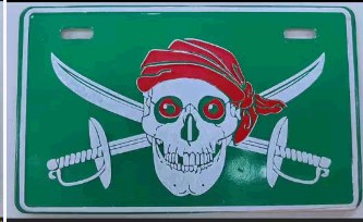 Накладка на номер SKULL (20x12см) (#7946)