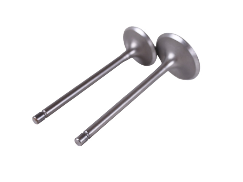 Клапаны (пара, голые) 4T CB250 (впск.- L-91,7mm, d-34mm; вып. L-89.6mm, d-28.5mm) AMG