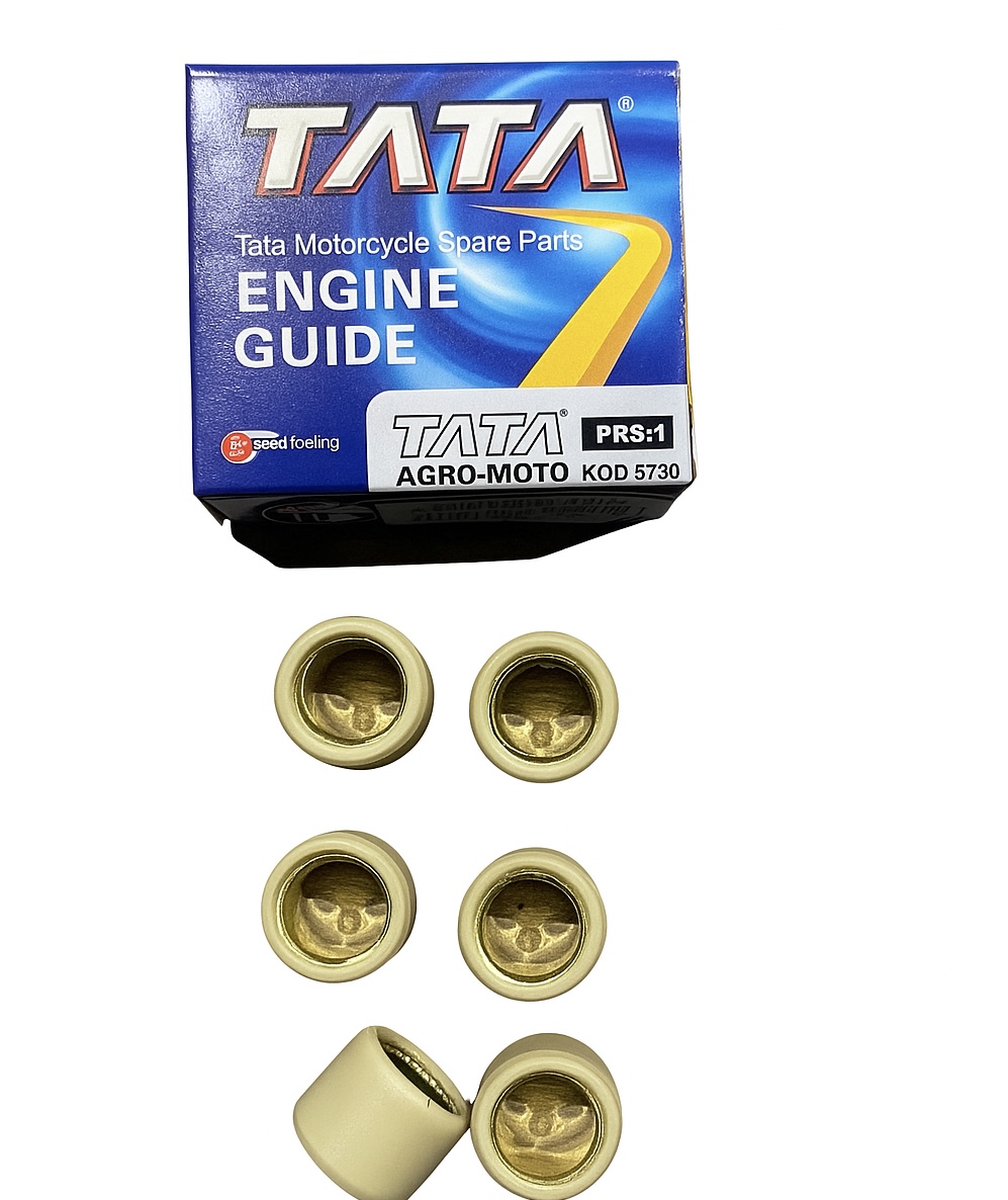 Ролики вариатора Honda 16*13 5,5г AMG