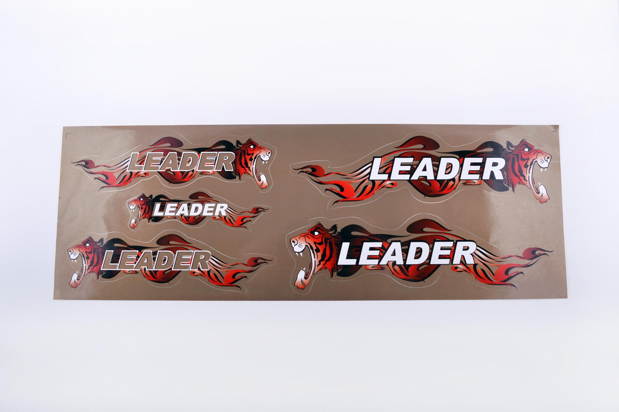 Наклейки (набор) LEADER (48х16см, бронзовые) EVO