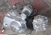 Двигатель Delta, Activ 110cc (МКПП 152FMH) TMMP ZV