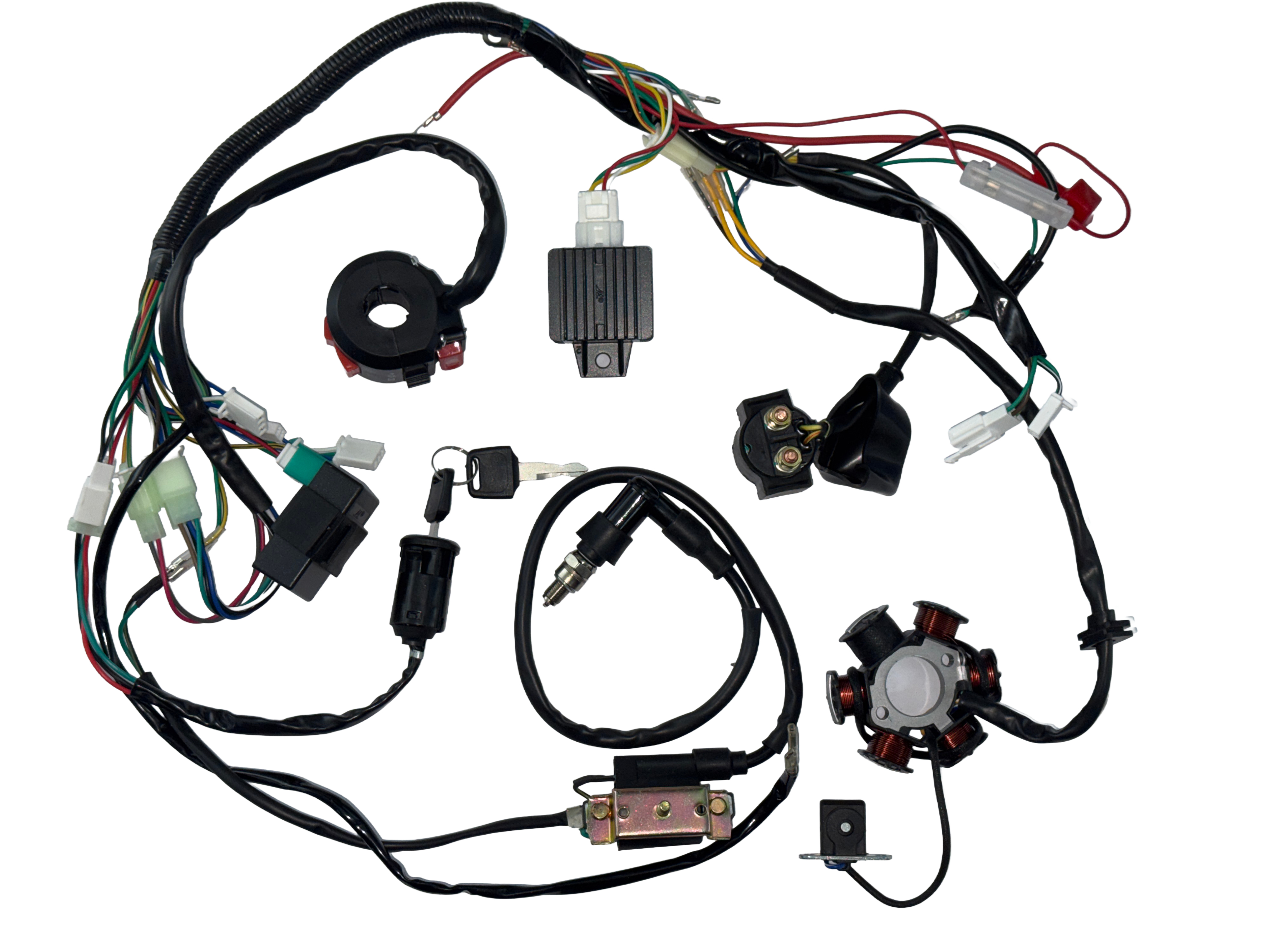 Проводка ATV 50/110 (в сборе) FLD