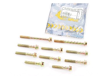 Болты крышки вариатора 4T GY6 150 (10шт) KS
