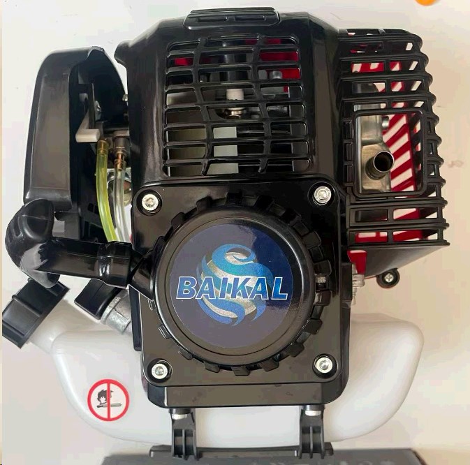 Двигатель мотокосы 4T 31СС BCV5 MECH