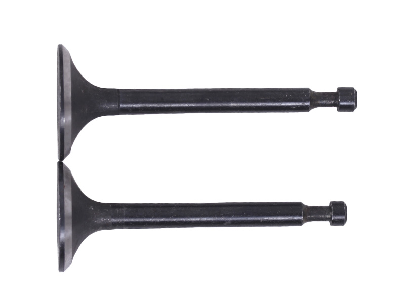 Клапаны (пара, голые) м/б 168F/170F (6,5/7Hp) AMG-3