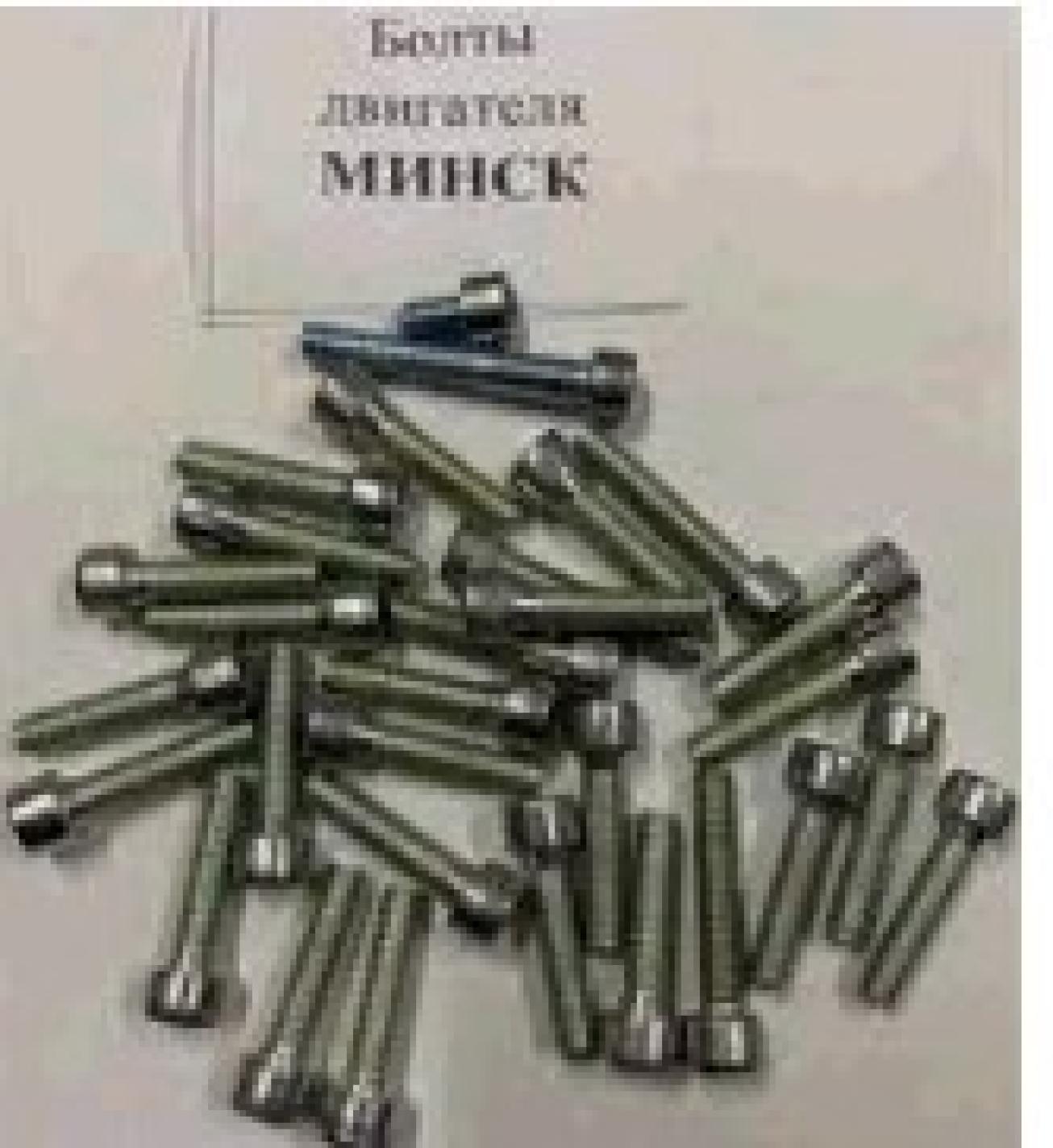Болти двигуна МІНСЬК набір 29шт (М6х10мм, М6х25мм-24шт, М6х30мм-3шт, М6х40мм) МІС