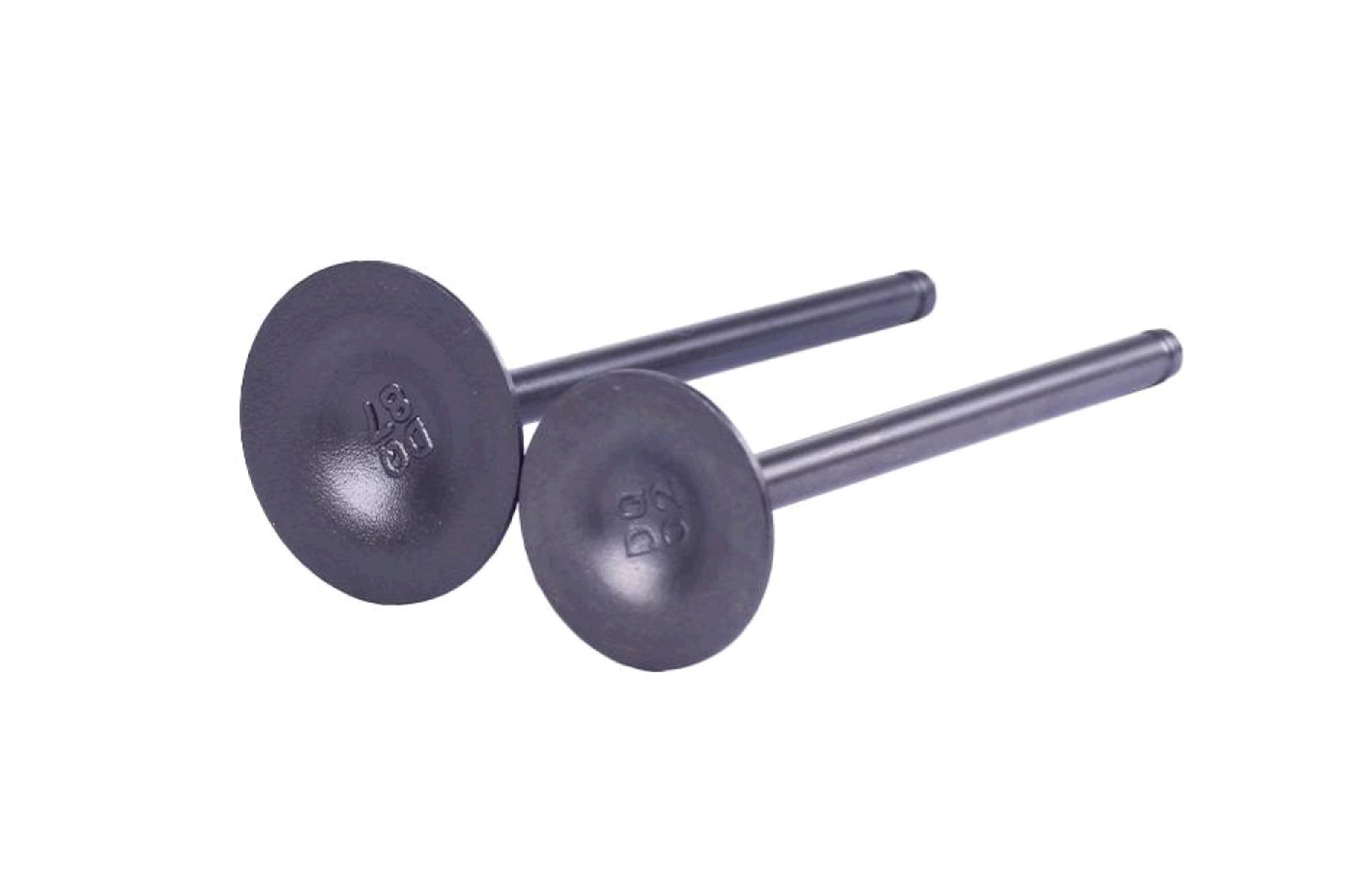 Клапани (пара, голі) 4T CB250 (впск.- L-91,7mm, d-34mm; вип. L-89.6mm, d-28.5mm) AMG-3